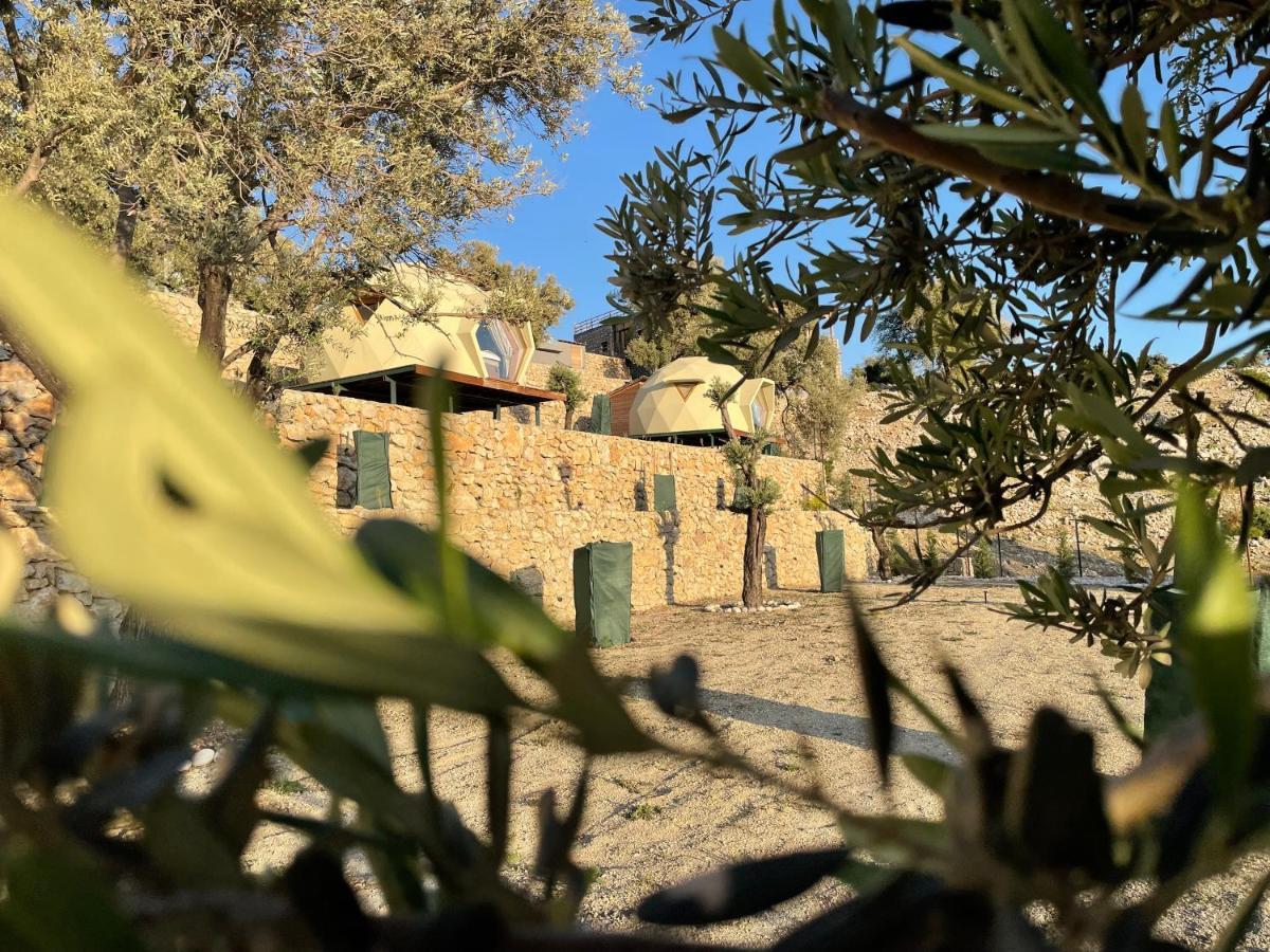 Kahya Kesif Zone Eco Resort Retreats מראה חיצוני תמונה